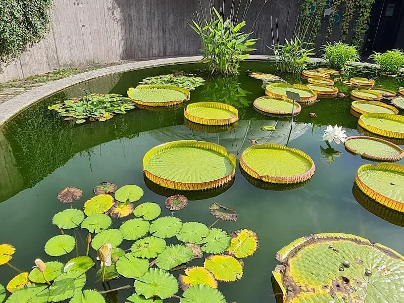 View of Botanical Garden in Zurich, ZH