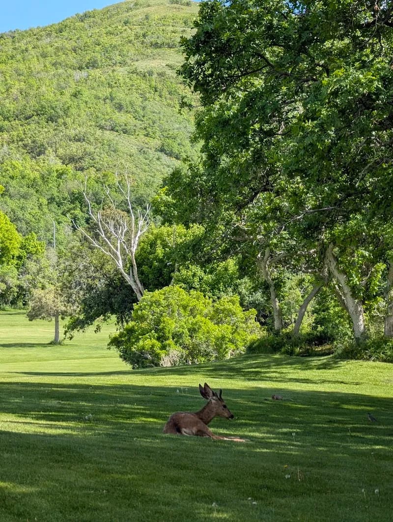 View of Bountiful Ridge Golf Course in Bountiful, UT