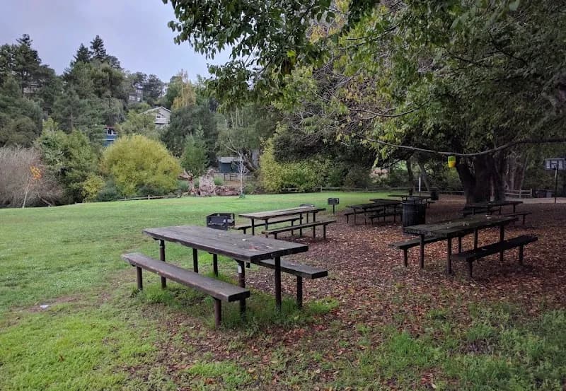 View of Boyle Park in Mill Valley, CA