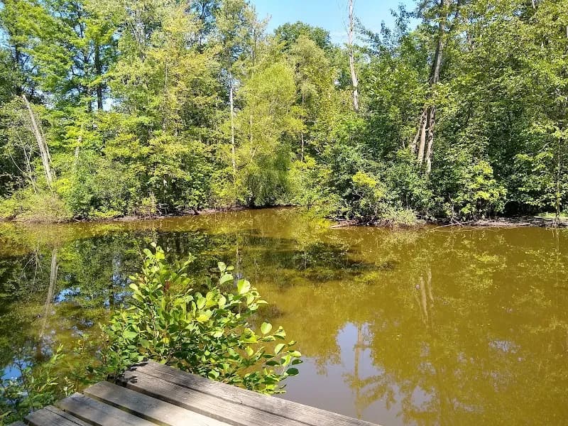 View of Bradley Woods Reservation in Westlake, OH