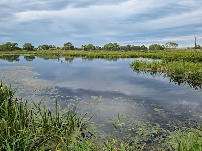 View of Braeside Park Wetlands (Parks Victoria) in Bayside, VIC