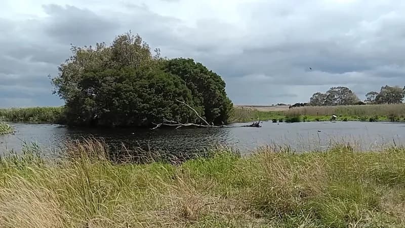 View of Braeside Park Wetlands (Parks Victoria) in Bayside, VIC