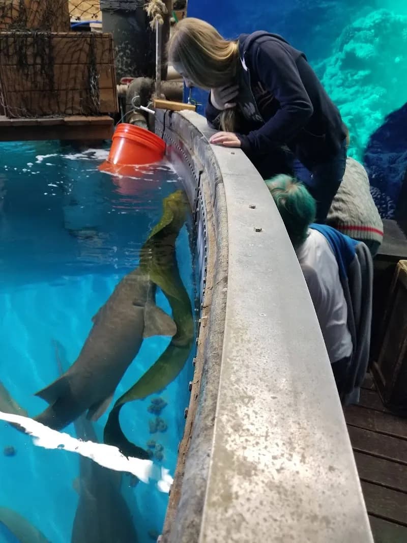 View of Branson's Wild World in Branson, MO