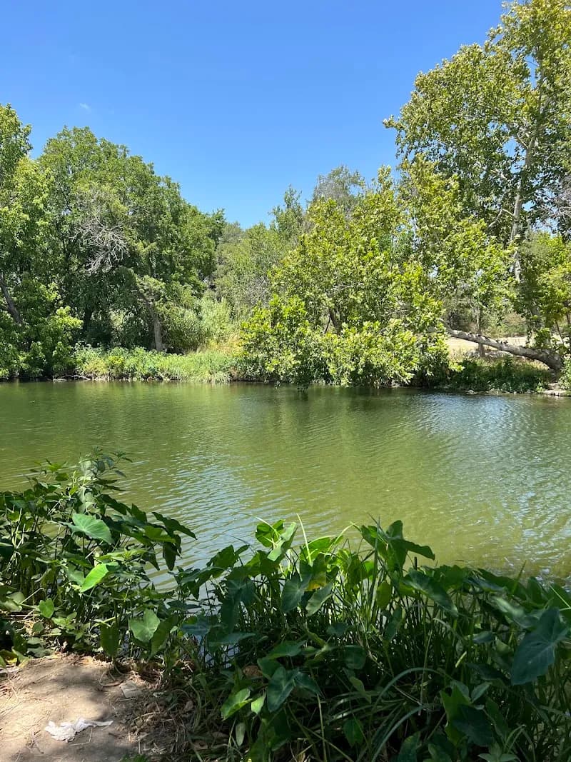 View of Brushy Creek Trail in Round Rock, TX