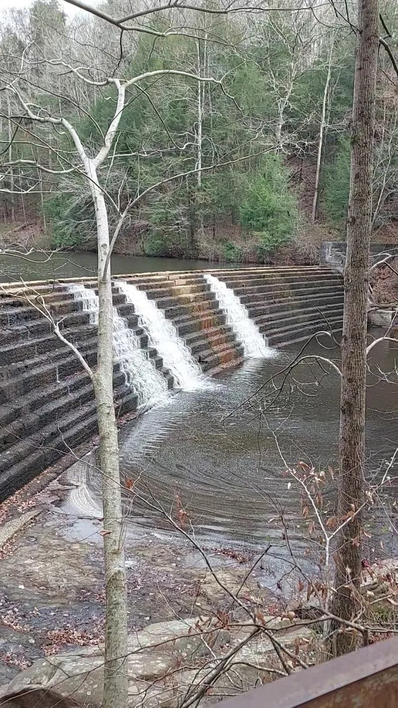 View of Brushy Lake Recreation Area in Jasper, AL