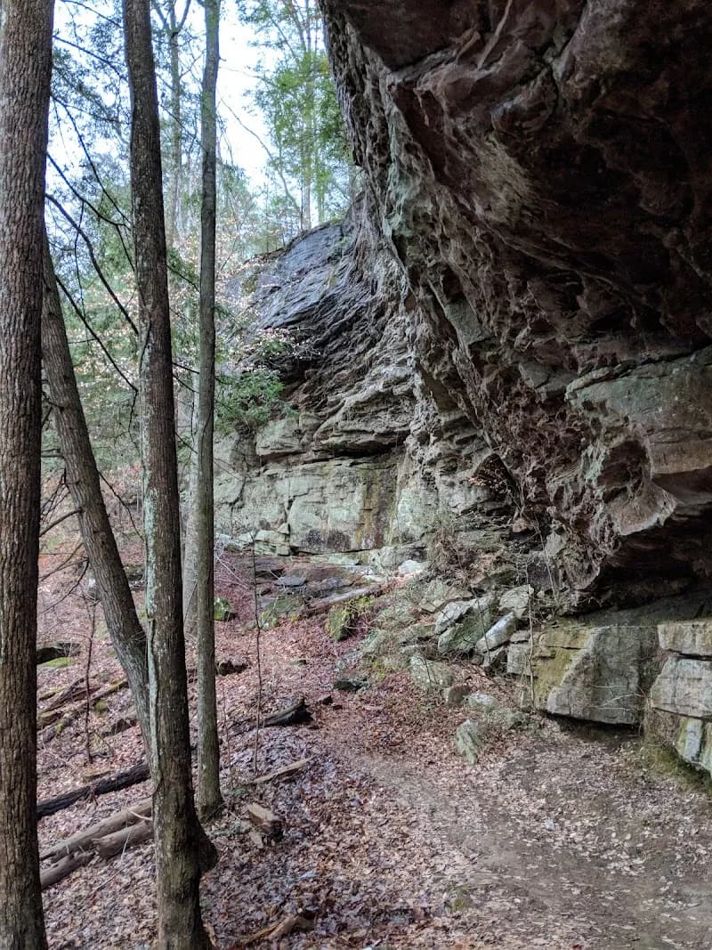 View of Brushy Lake Recreation Area in Jasper, AL