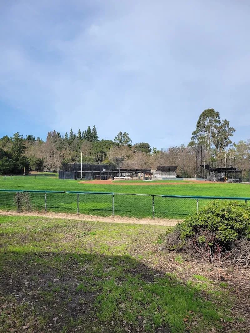 View of Buckeye Ballfields in Lafayette, CA