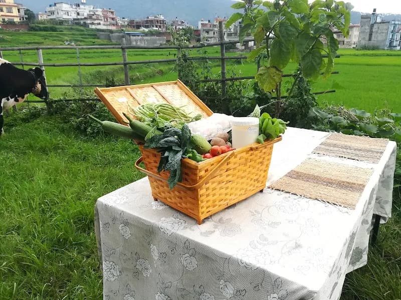 Budhanilkantha Organic Farming Communities farm in Budhanilkantha, Bagmati