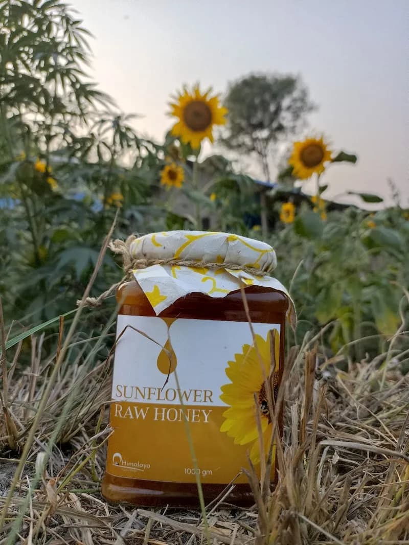 View of Budhanilkantha Organic Farming Communities in Budhanilkantha, Bagmati