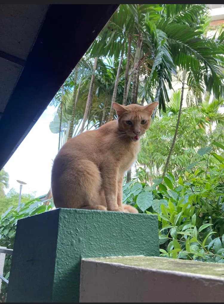View of Bukit Batok MRT Park in Bukit Batok, SG