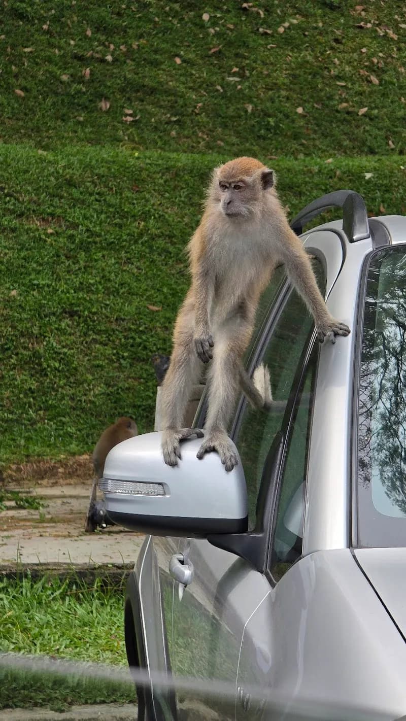 View of Bukit Kiara Federal Park in Mont Kiara, KL