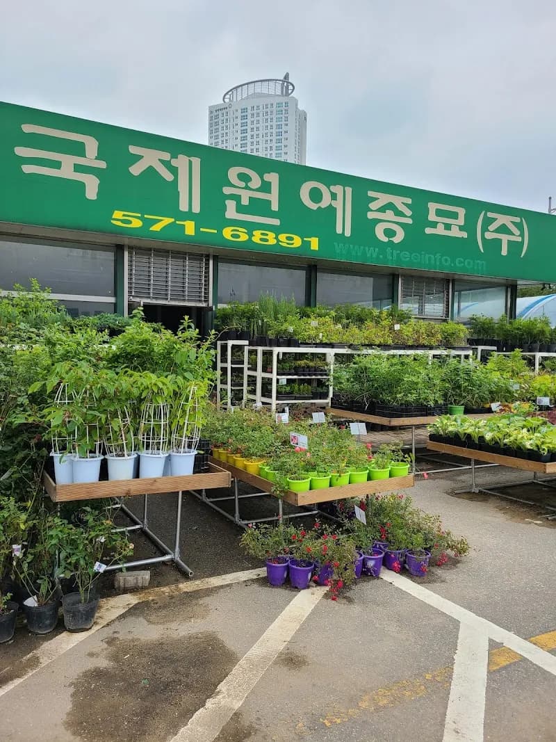 Bundang Wildflower Garden (분당 야생화정원) garden in Bundang, GG