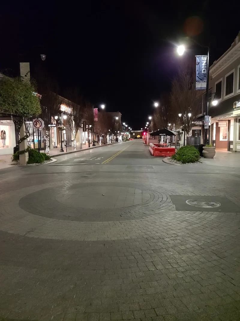 View of Burlingame Avenue in Burlingame, CA