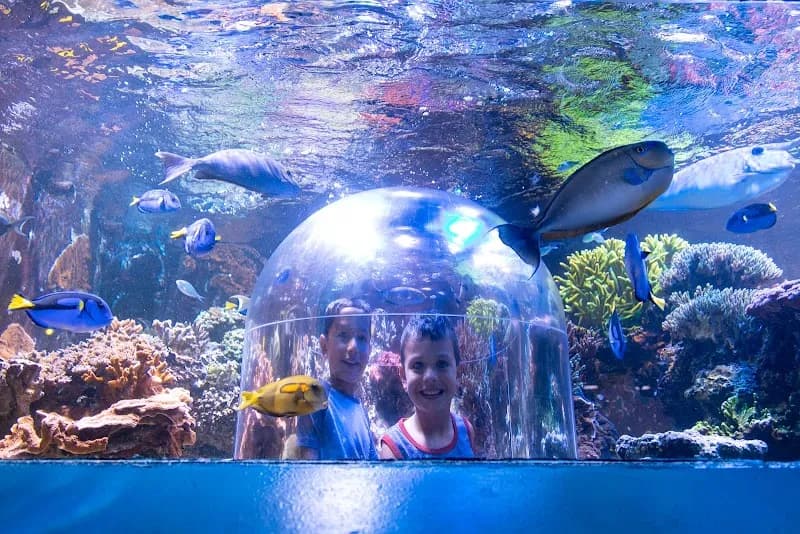 View of Butterfly House & Aquarium in Sioux Falls, SD