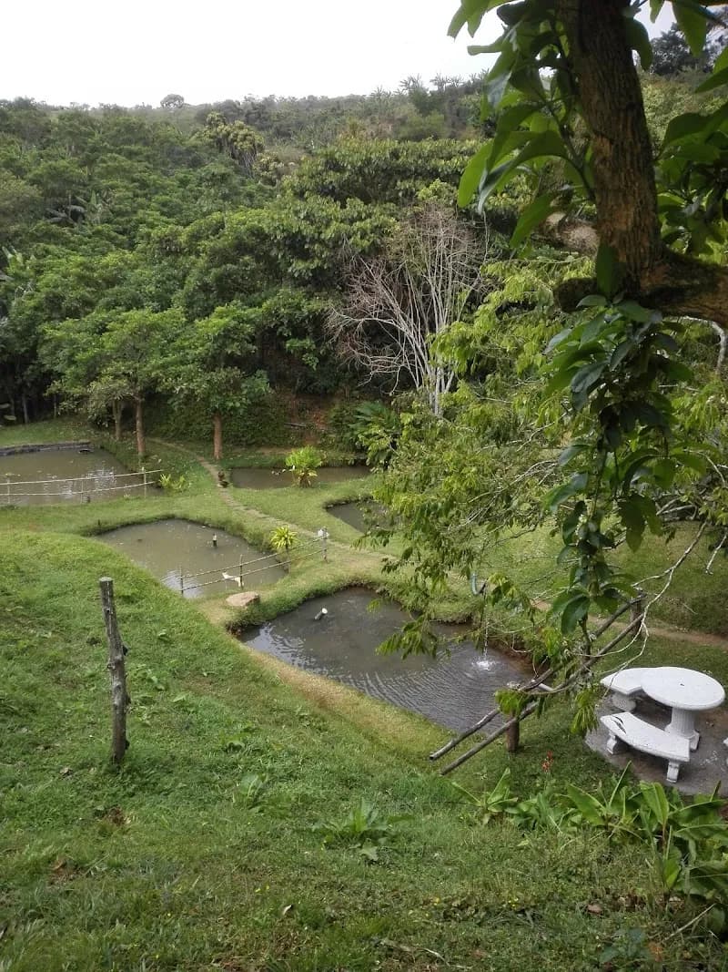 View of Cafetería Don Pepe in Tibás, SJ