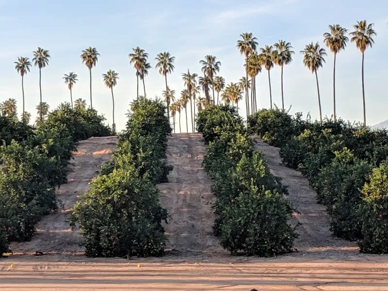View of California Citrus State Historic Park in Riverside, CA