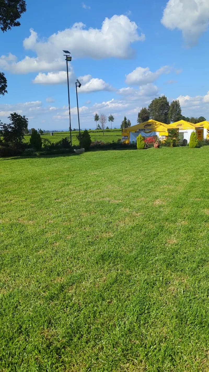View of Camellia Gardens Limuru in Muthaiga, Nairobi