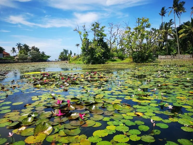 Candidasa Lotus Lagoon tourist attraction in Candidasa, Bali
