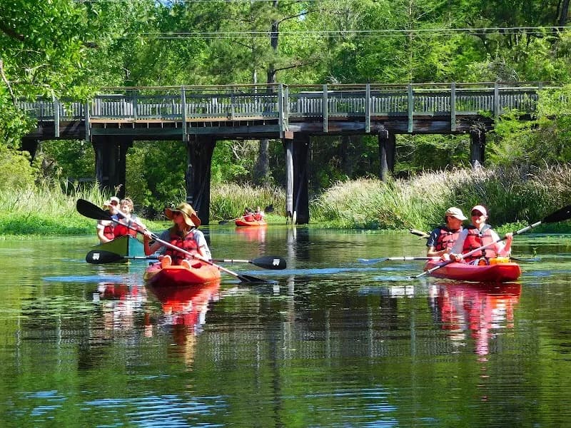View of Canoe & Trail Adventures Rentals @ Cane Bayou Launch - Fontainebleau State Park in Lafayette, LA