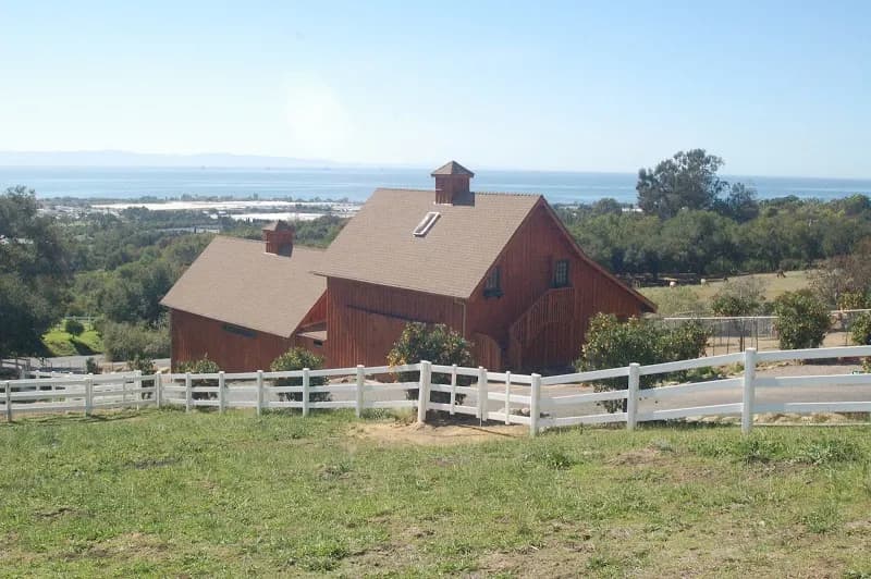 Canzelle Alpacas ranch in Santa Barbara, CA