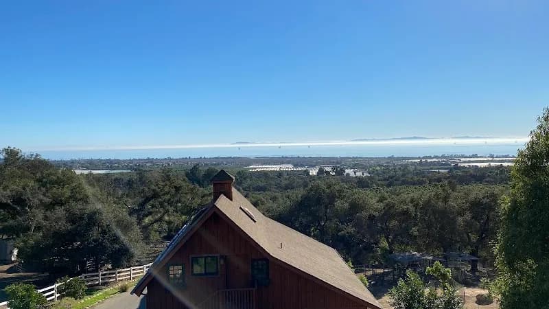 View of Canzelle Alpacas in Santa Barbara, CA