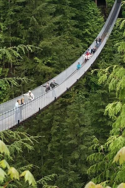 Capilano Suspension Bridge Park tourist attraction in Vancouver, BC