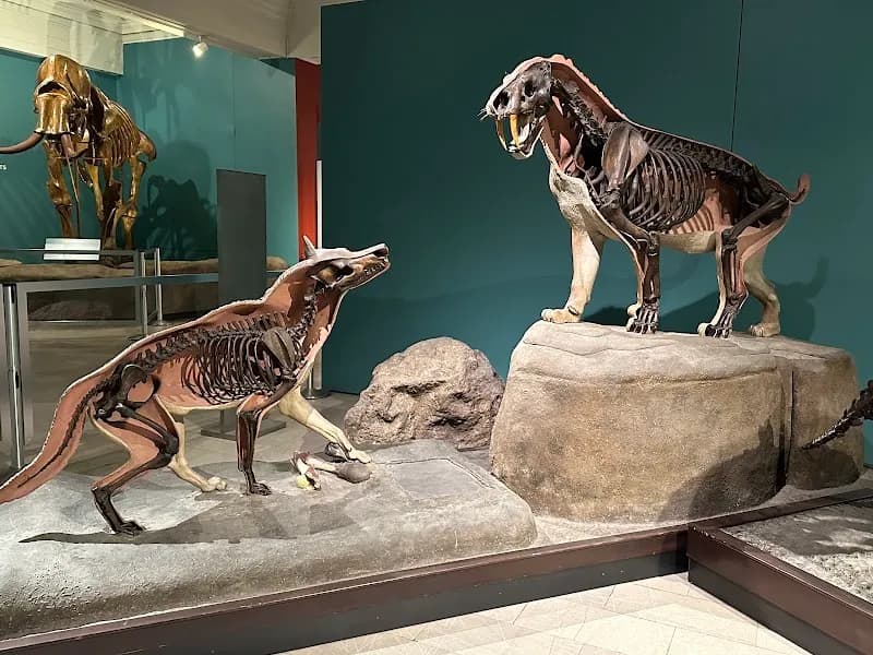 View of Carnegie Museum of Natural History in Pittsburgh, PA