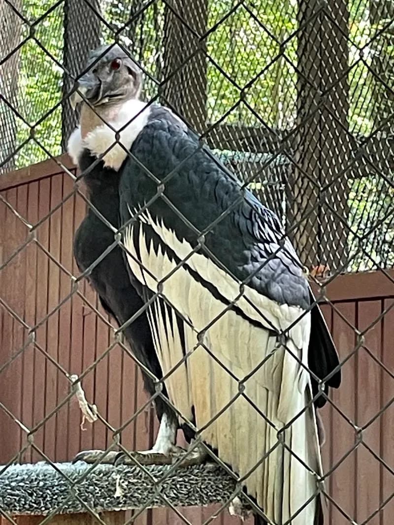 View of Carolina Raptor Center in Charlotte, NC