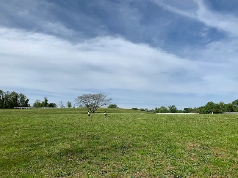 View of Carousel Park in Wilmington, DE