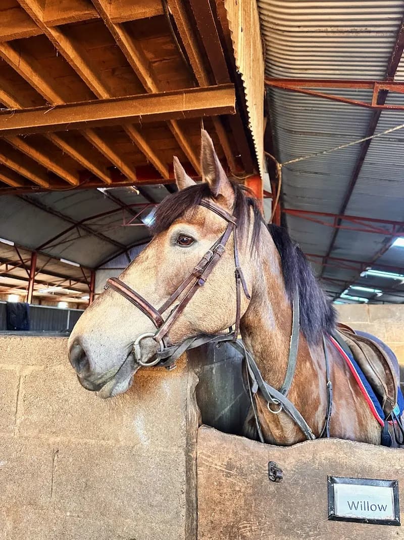 View of Carrickmines Equestrian Centre in Ballsbridge, D
