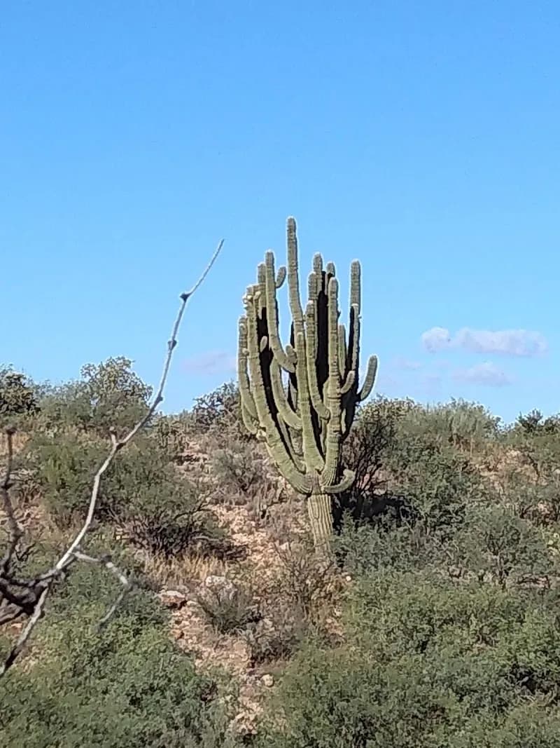 View of Catalina Neighborhood Park and Recreation Center in Catalina, AZ