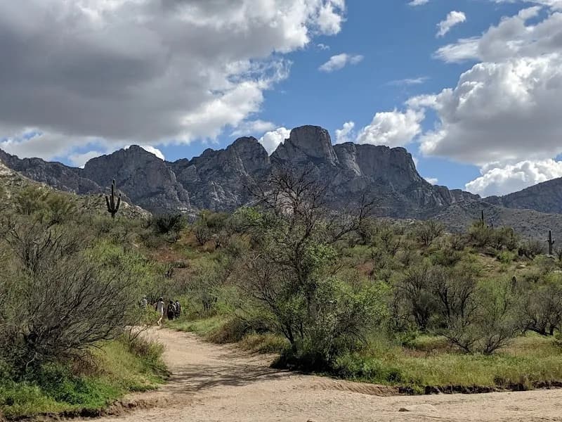 View of Catalina State Park in Catalina, AZ