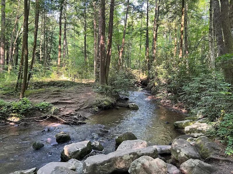 View of Cataract Falls in Cherokee, NC