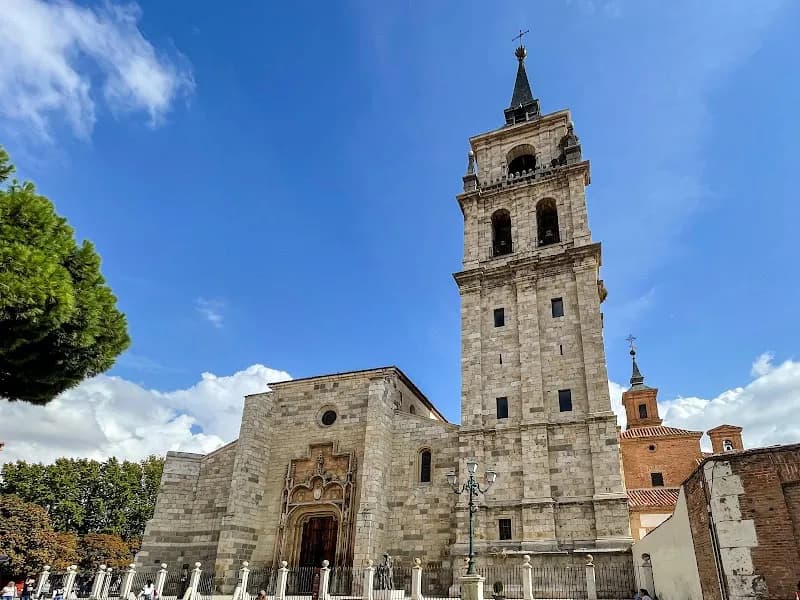 View of Catedral Magistral de los Santos Justo y Pastor in Alcalá de Henares, Madrid