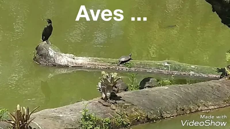 View of Celso Daniel Park in Santo André, SP