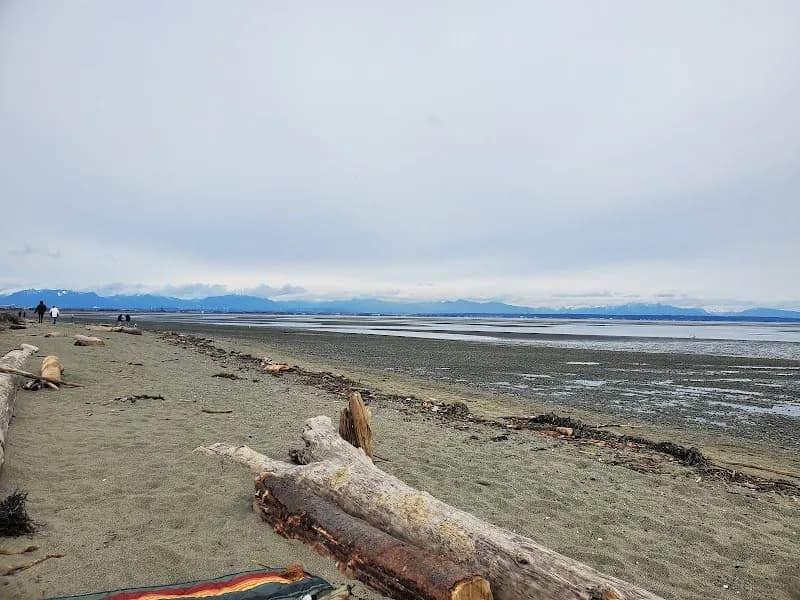 View of Centennial Beach in South Delta, BC