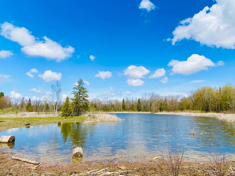 View of Centennial Park Trail System in Georgina, ON