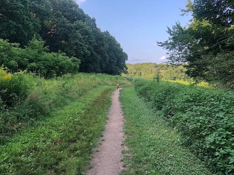 View of Centennial Reservation in Wellesley, MA