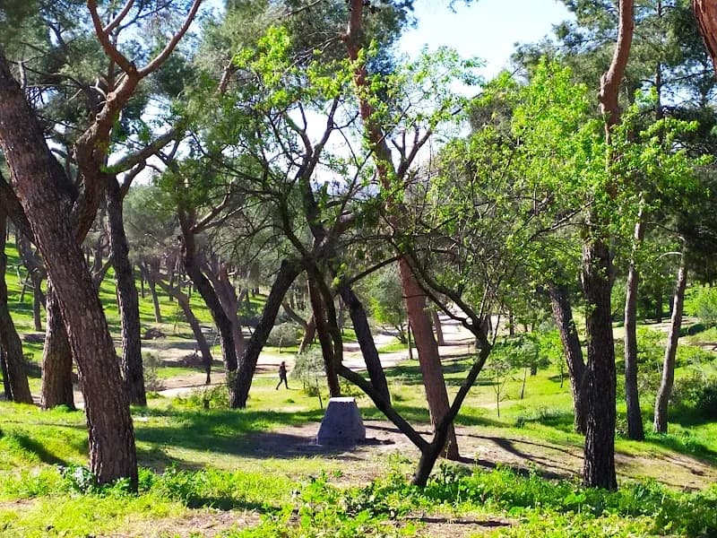 Centro de Información y Educación Ambiental Dehesa de la Villa amusement center in Las Rozas de Madrid, Madrid