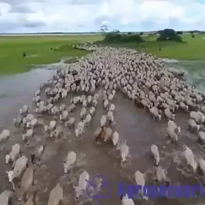 View of Centro Recreativo Municipal San Bartolo in San Bartolo, Lima