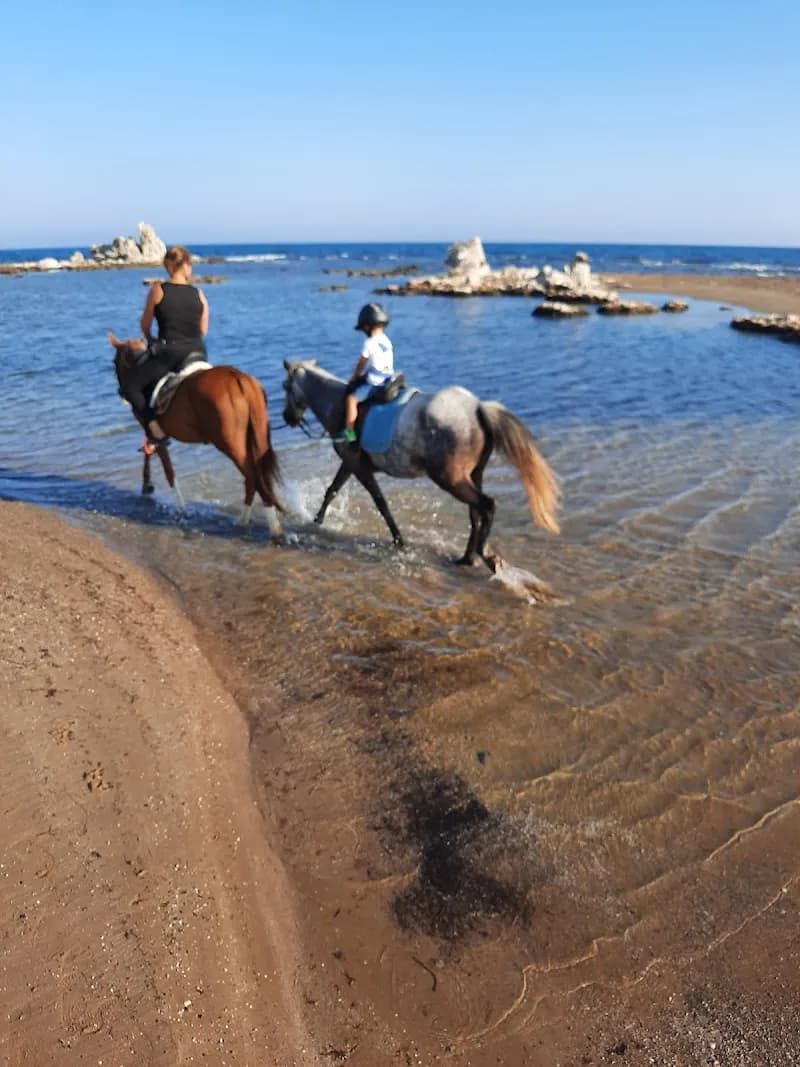 Ceylo Ranch tour agency in Side, Antalya