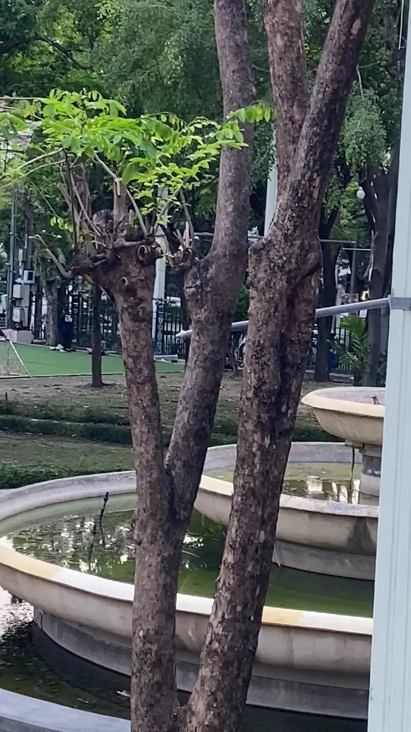 View of Chaloem Phra Kiat Forest Park in Ari, BKK