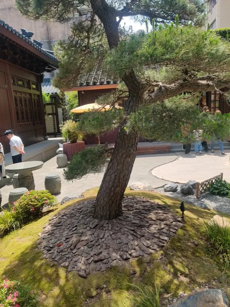 View of Changshou Park in Pudong, SH