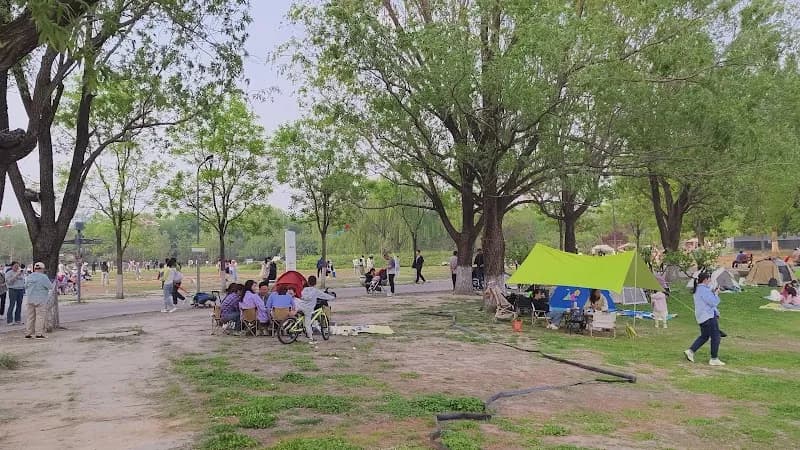 View of Chaoyang Park in Beijing, BJ