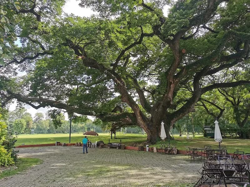 Chiang Mai Family Golf Club sports in Chiang Mai, CM