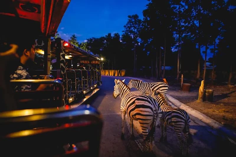Chiang Mai Night Safari zoo in Chiang Mai, CM