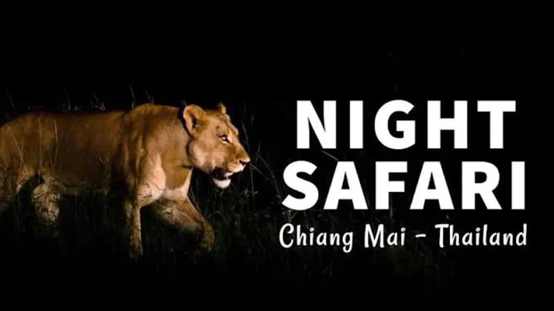 View of Chiang Mai Night Safari in Chiang Mai, CM