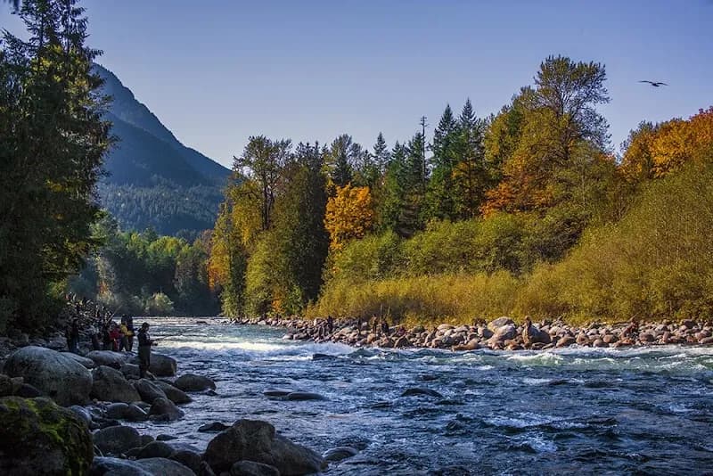 Chilliwack River Provincial Park park in Chilliwack, BC