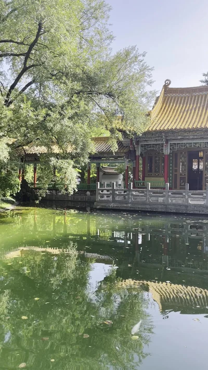 View of Chinagarten Zürich in Zurich, ZH