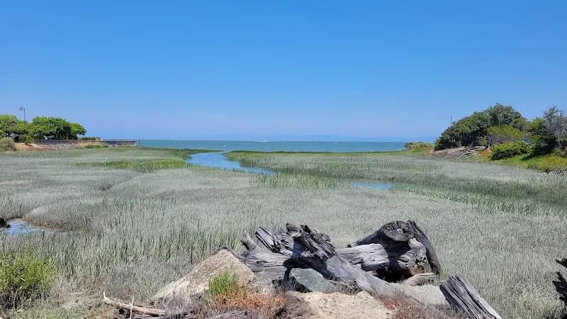 City of Burlingame Shorebird Sanctuary nature preserve in Burlingame, CA